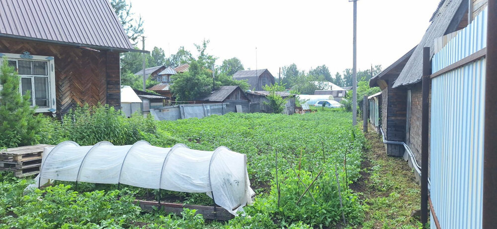 г. Нижний Тагил, к/с к.с.Автомобилист-2 (городской округ Нижний Тагил) - фото сада (6)