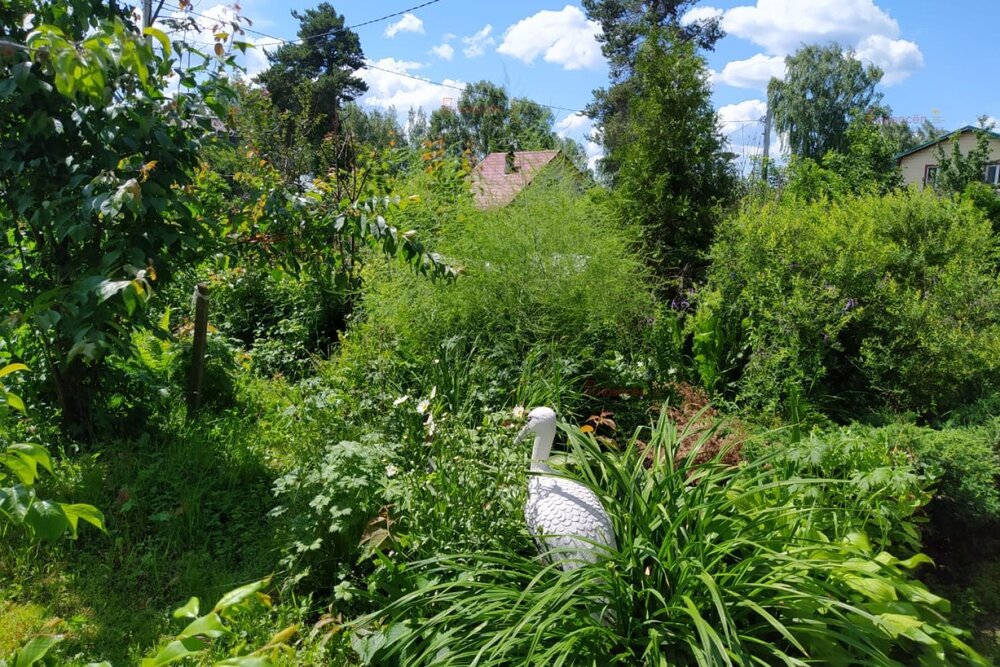 г. Ревда, СНТ Пионерский-1 (городской округ Ревда) - фото сада (4)