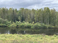 Продажа дома: с. Нижнее Село, ул. Береговая, 14 (городской округ Первоуральск) - Фото 1