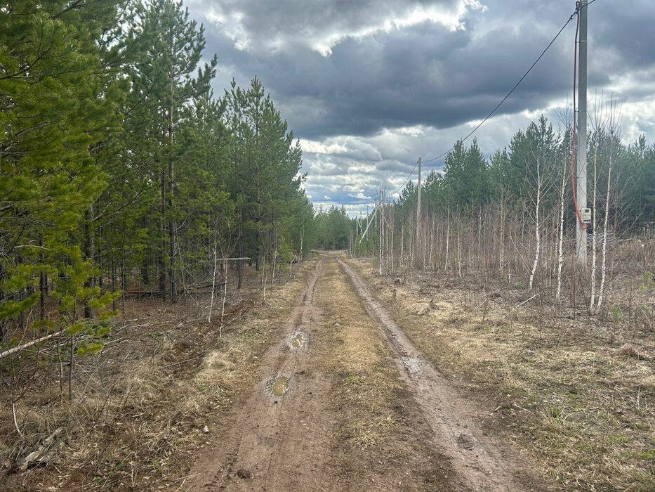 п. Бобровский, ул. Высоцкого (городской округ Сысертский) - фото земельного участка (3)