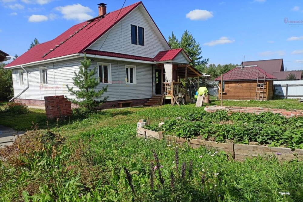 с. Кадниково, СНТ Кадниковчкий, уч. 116 (городской округ Сысертский) - фото сада (3)