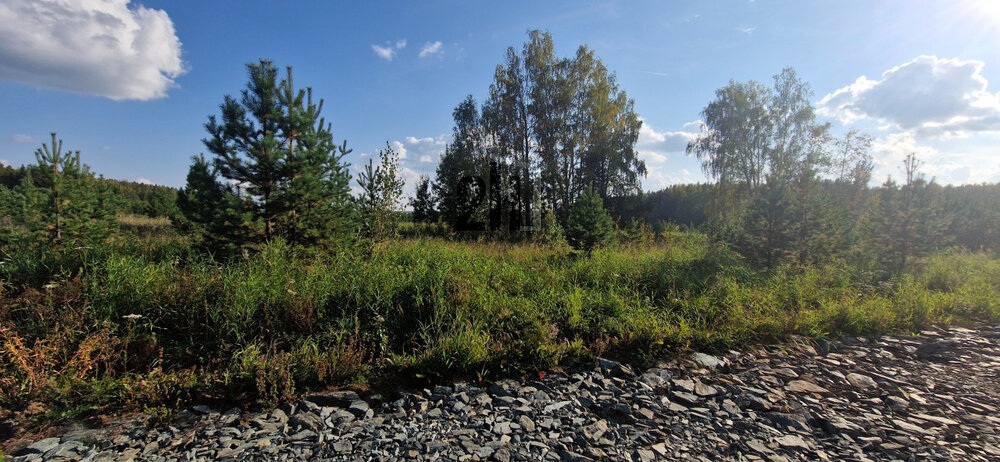 к.п. Чистые росы-2, ул. Турмалиновая, 28 (городской округ Белоярский) - фото земельного участка (1)