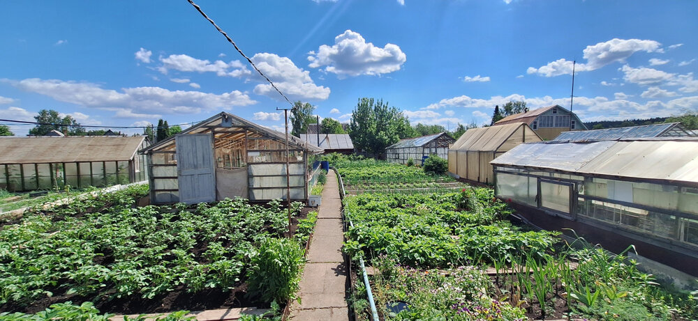 г. Нижний Тагил, СНТ металлист (городской округ Нижний Тагил) - фото сада (8)