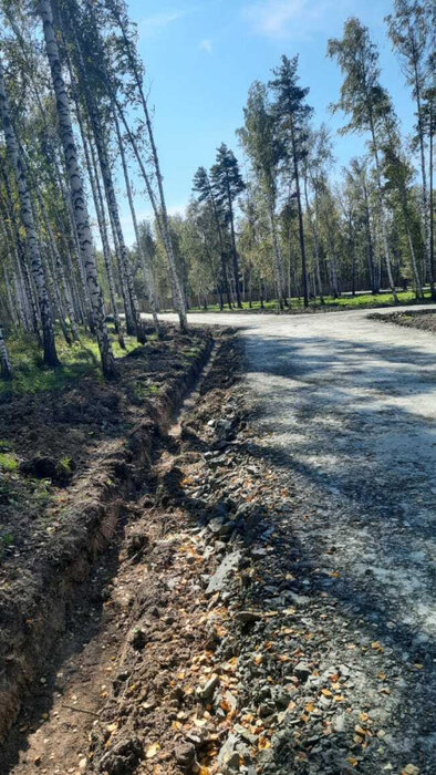 г. Верхняя Пышма, район СНТ Звездочка (городской округ Верхняя Пышма) - фото сада (6)