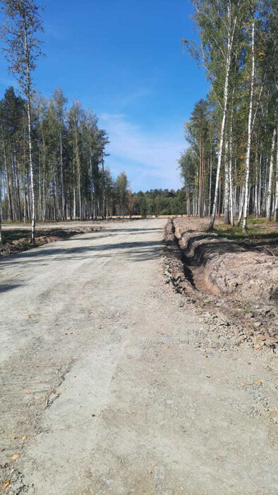 г. Верхняя Пышма, район СНТ Звездочка (городской округ Верхняя Пышма) - фото сада (7)