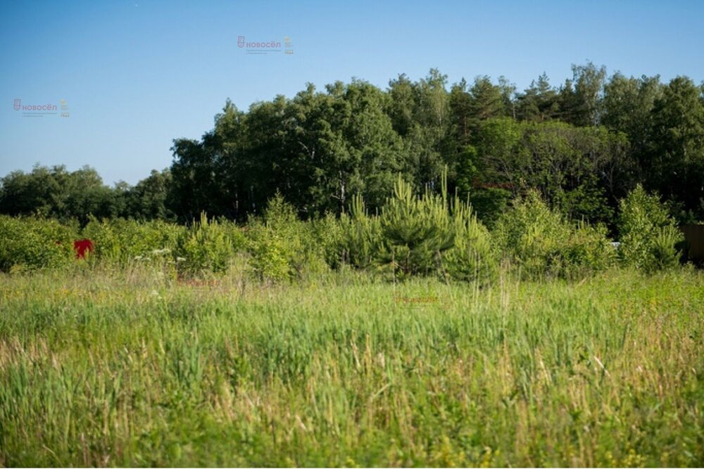 Екатеринбург, ул. В 3 км. от КП Совушки (Горный щит) - фото земельного участка (6)