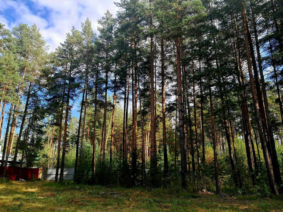 г. Сысерть, ул. Рабочей Молодежи, 72 (городской округ Сысертский) - фото земельного участка (6)