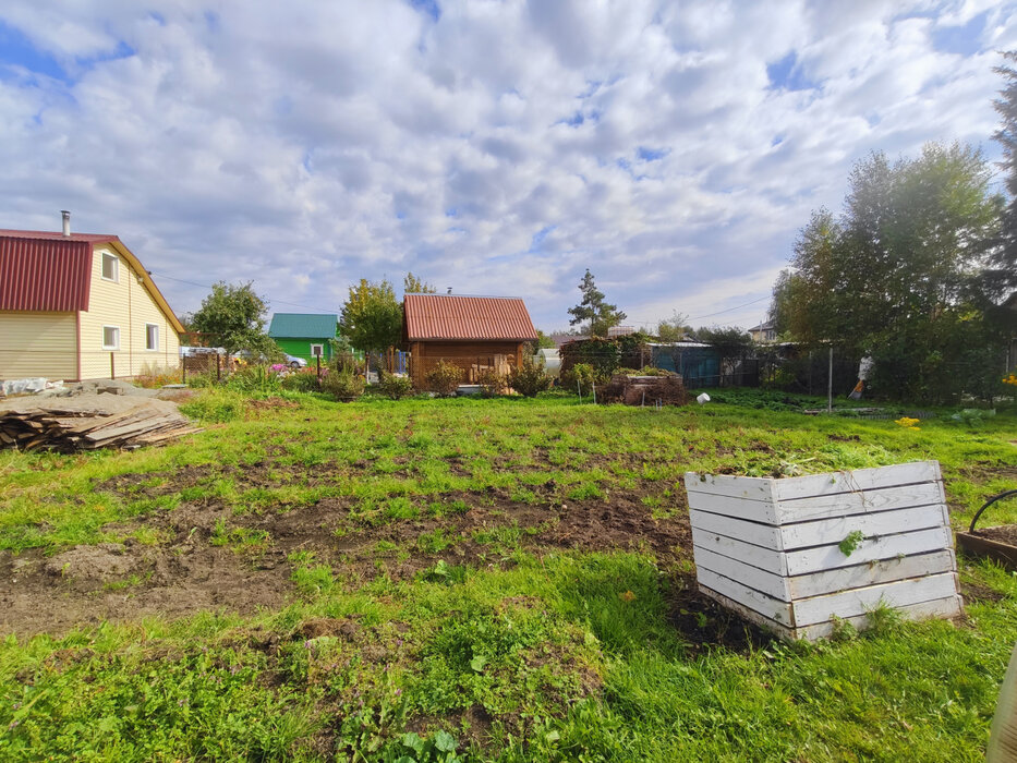 Екатеринбург, снт Дубрава - фото сада (7)