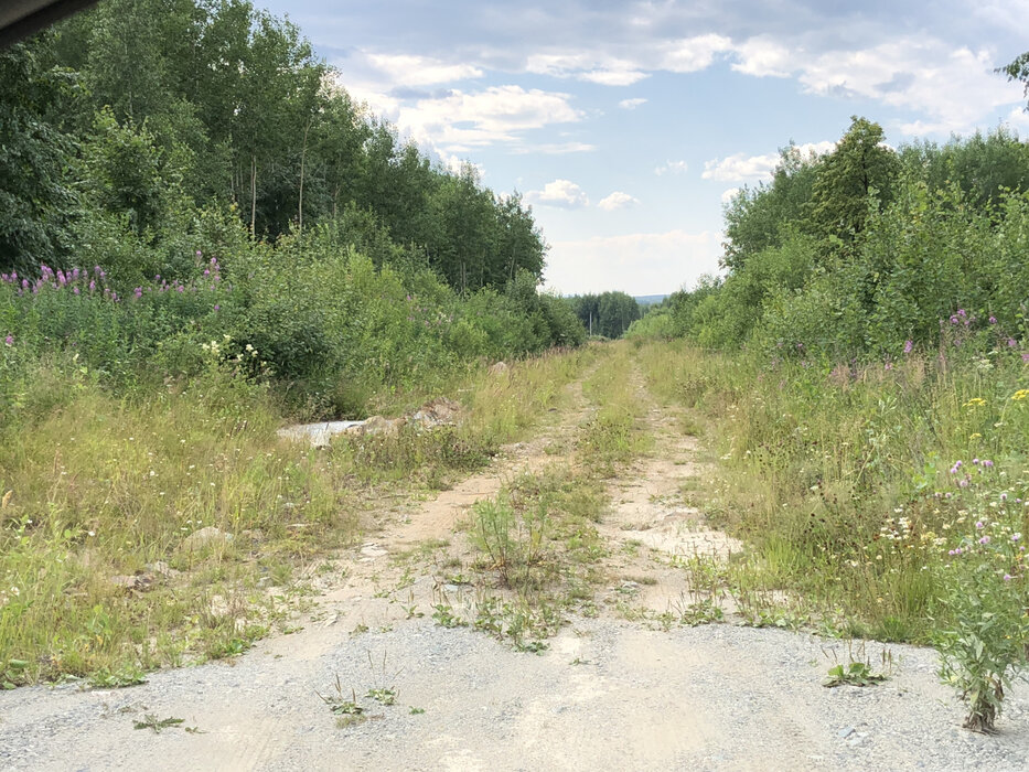 г. Березовский, снт №127 Дачник (городской округ Березовский) - фото сада (1)