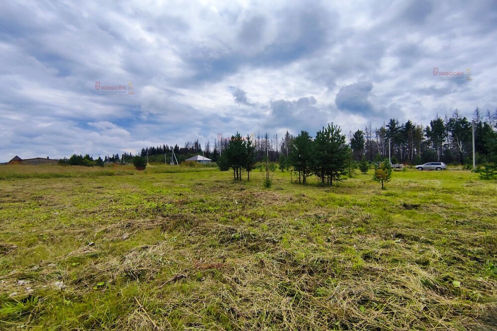 с. Большебрусянское, ул. Калинина, 35 (городской округ Белоярский) - фото земельного участка (4)