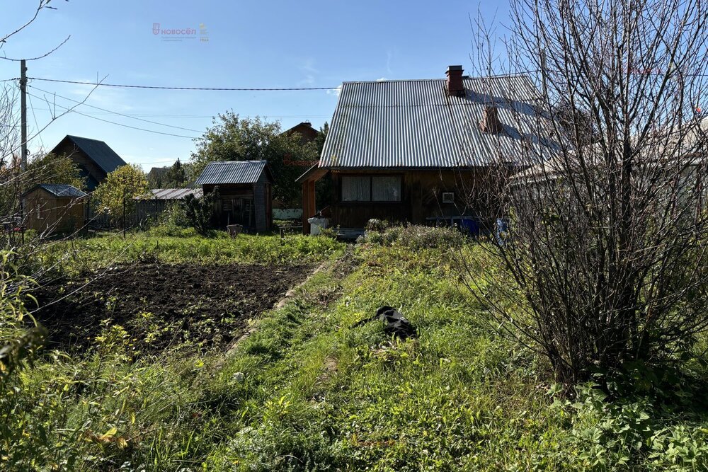 Екатеринбург, СНТ Поле Чудес - фото сада (4)