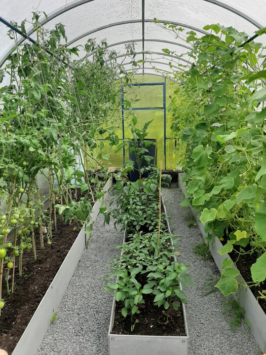 г. Нижний Тагил, ул. Ярославская, 70 (городской округ Нижний Тагил) - фото дома (2)