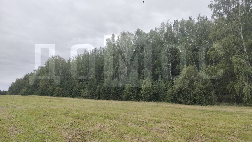 с. Кадниково (городской округ Сысертский) - фото земельного участка (1)