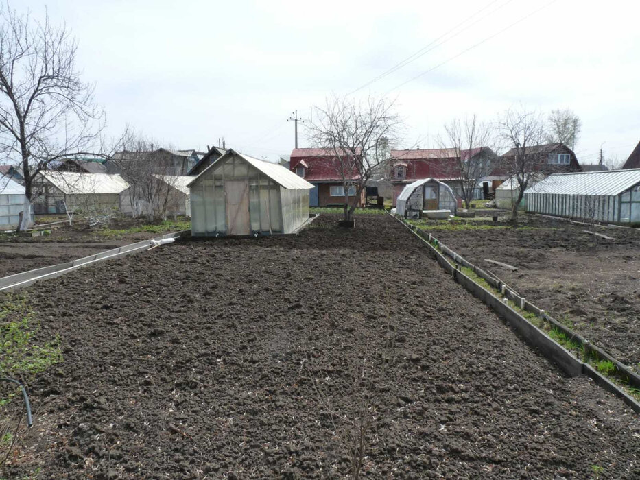 г. Верхняя Пышма, СНТ Огородник (городской округ Верхняя Пышма) - фото сада (5)