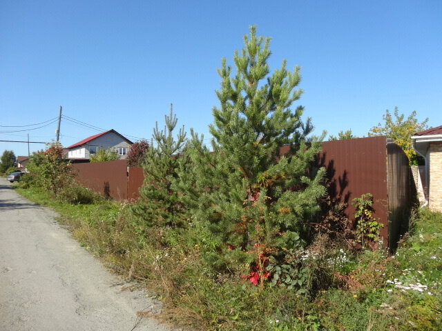 г. Арамиль, ул. Светлый, 2 (городской округ Арамильский) - фото земельного участка (7)