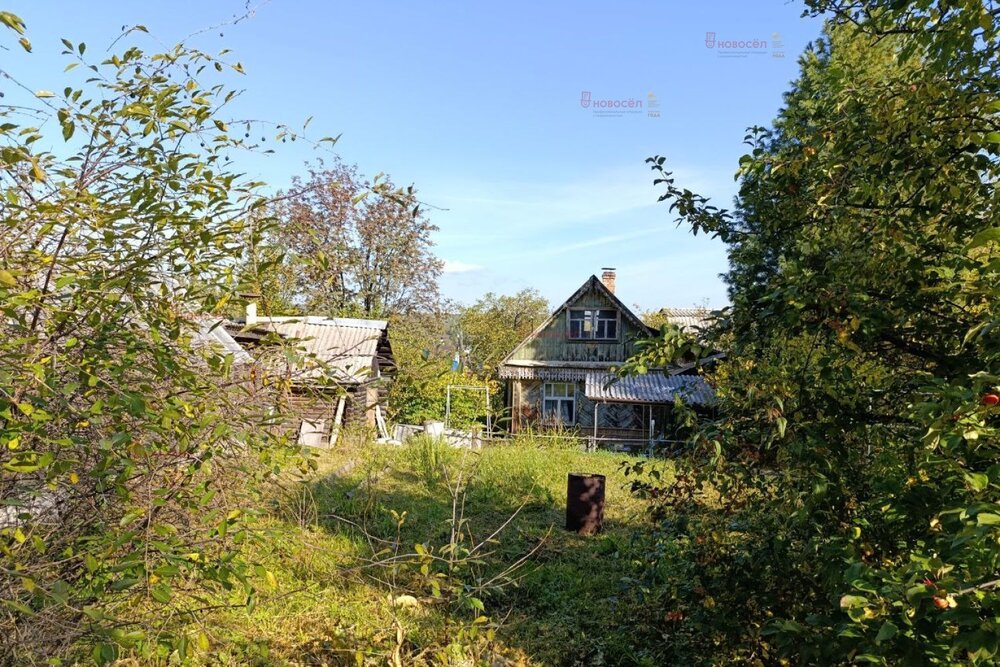 Екатеринбург, снт Пегматит (Палкинский торфяник) - фото сада (3)