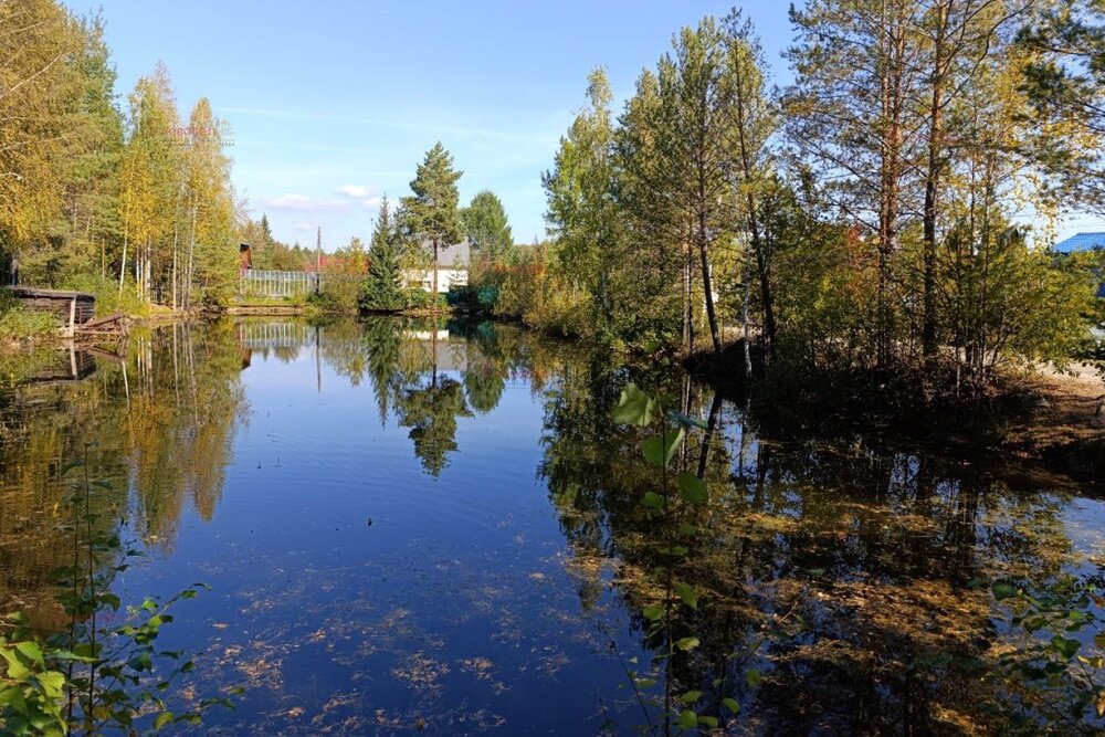 Екатеринбург, снт Пегматит (Палкинский торфяник) - фото сада (7)