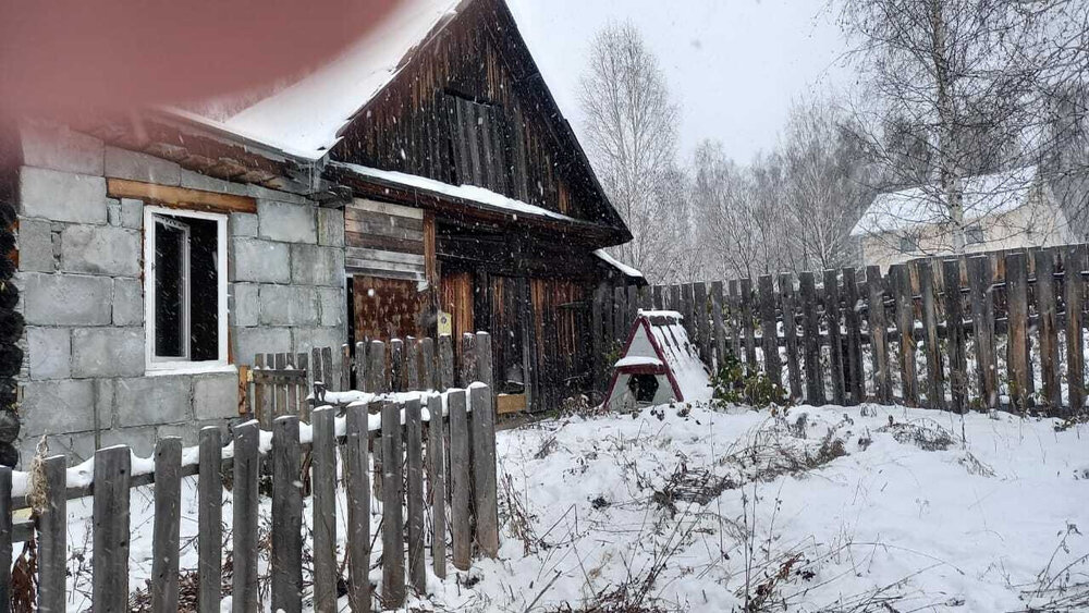 г. Дегтярск, ул. Пушкина, 51 (городской округ Город Дегтярск) - фото дома (2)