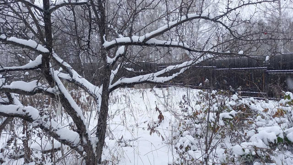 г. Дегтярск, ул. Пушкина, 51 (городской округ Город Дегтярск) - фото дома (3)