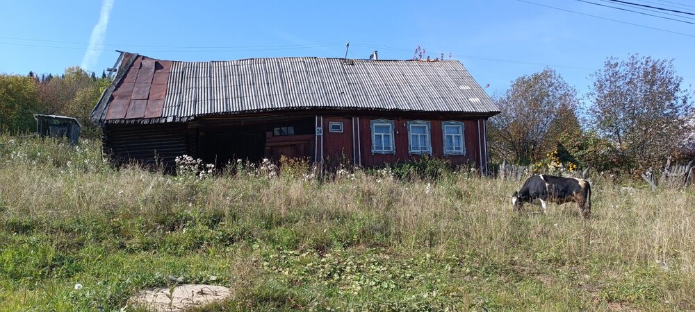 п. Шаля, ул. Урицкого,   (городской округ Шалинский) - фото дома (2)