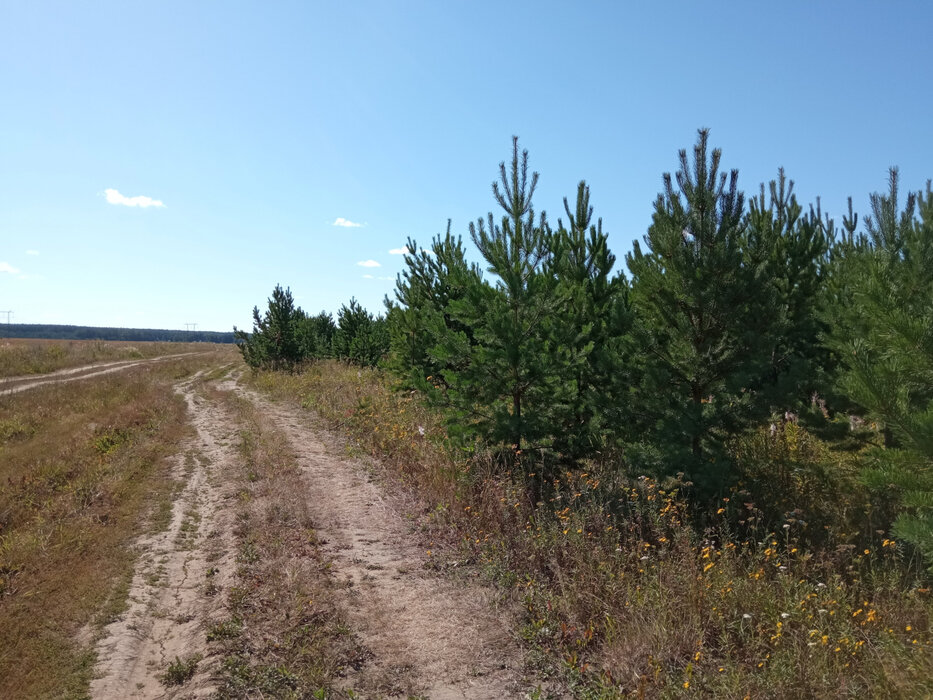 д. Верхняя Боевка, ул. Ленина, 22 (городской округ Сысертский) - фото земельного участка (1)