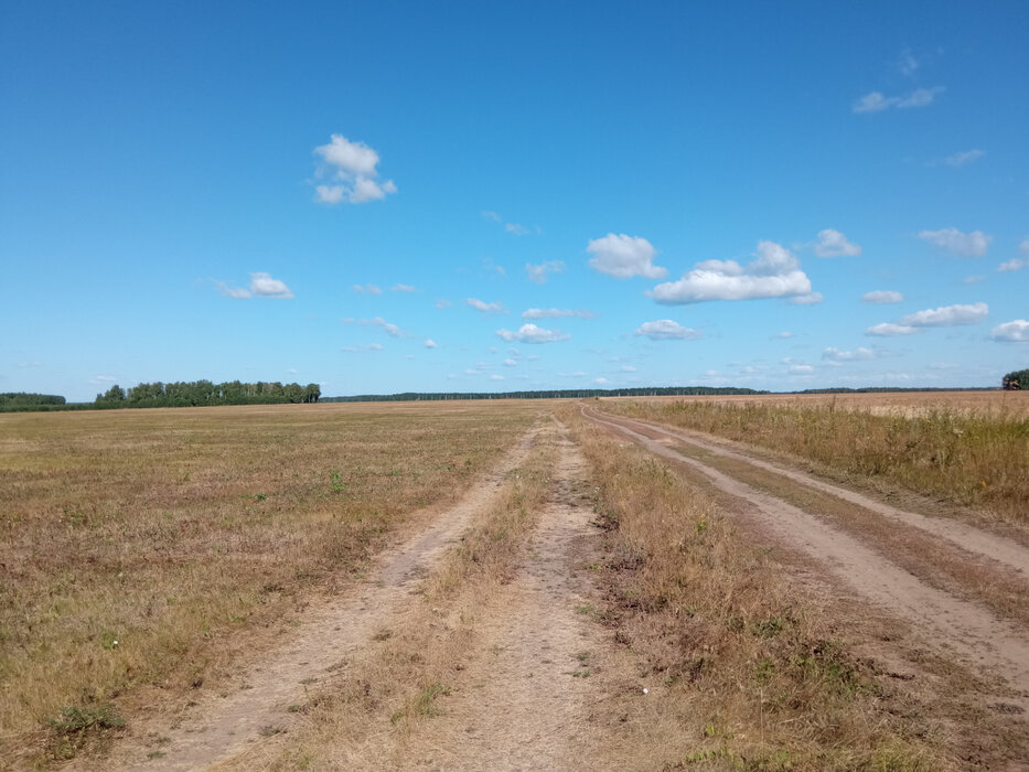 д. Верхняя Боевка, ул. Ленина, 22 (городской округ Сысертский) - фото земельного участка (4)