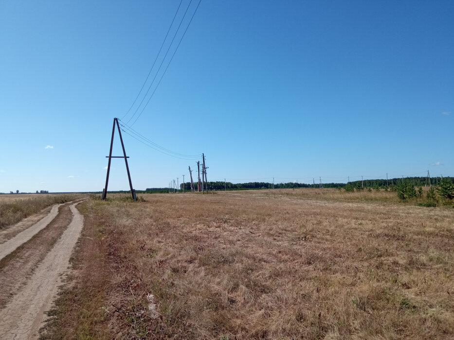 д. Верхняя Боевка, ул. Ленина, 22 (городской округ Сысертский) - фото земельного участка (5)