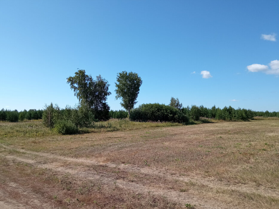 д. Верхняя Боевка, ул. Ленина, 22 (городской округ Сысертский) - фото земельного участка (7)