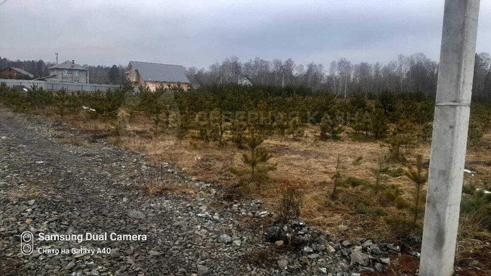 ДНП «Аэродром» (Екатеринбург, с. Горный щит) - фото земельного участка (1)