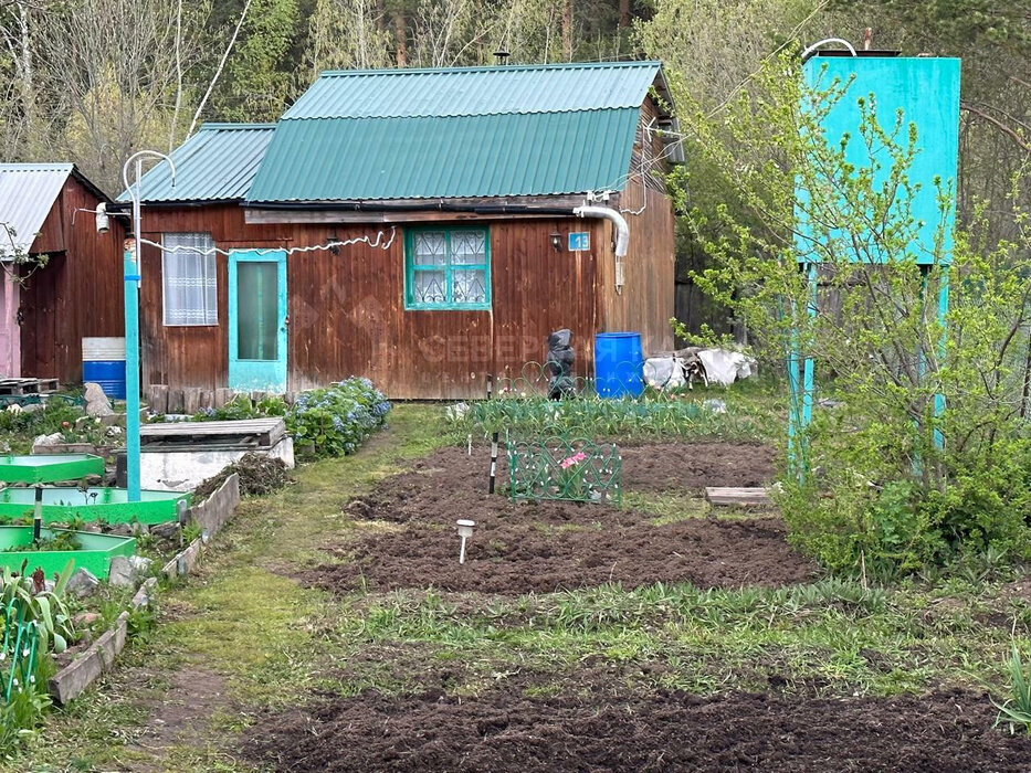 Екатеринбург, СНТ Мечта - фото сада (2)