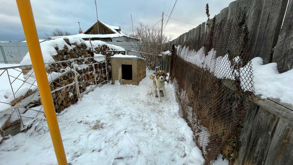 поселок городского типа Малышева, ул. Строителей, 33/1 (городской округ Малышевский) - фото дома (2)