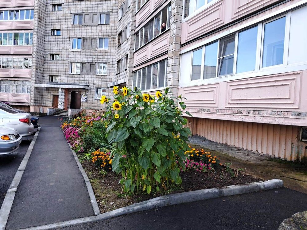 г. Лесной, ул. Мира, 36 (городской округ Город Лесной) - фото квартиры (1)