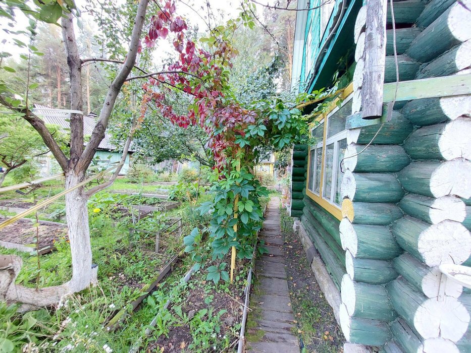 г. Нижний Тагил, К/С Железнодорожник, уч. 5 (городской округ Нижний Тагил) - фото сада (6)