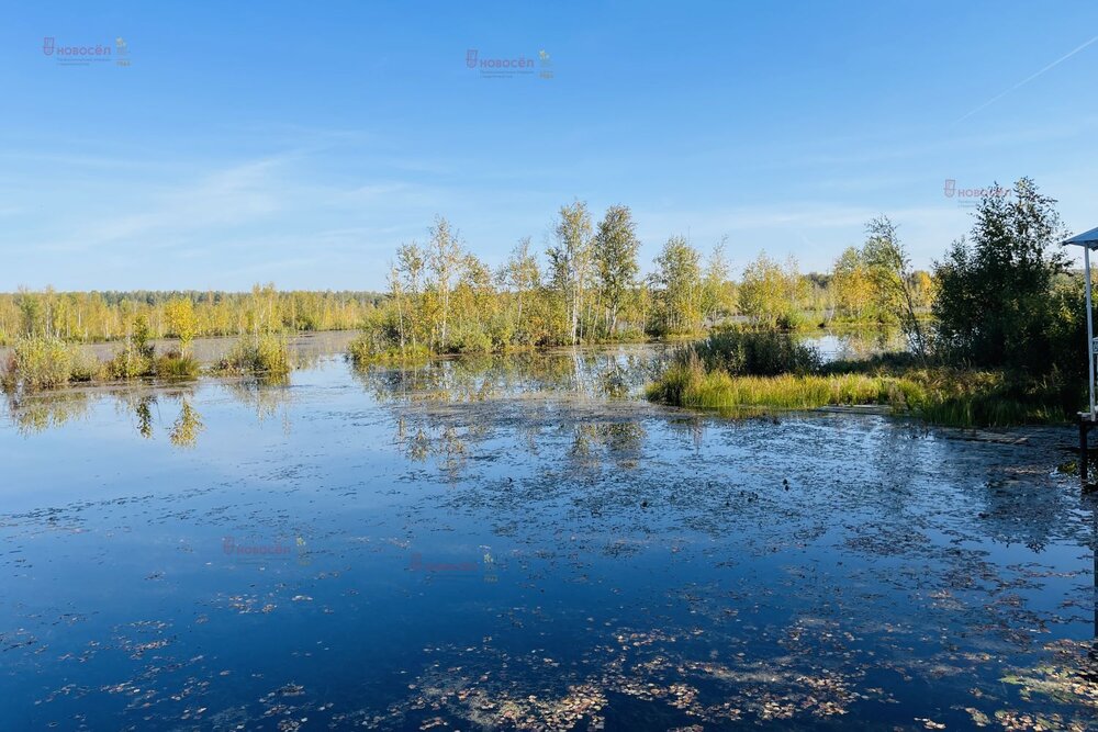 п. Кедровка, СНТ Озёрный, уч. 26 (городской округ Березовский) - фото сада (4)