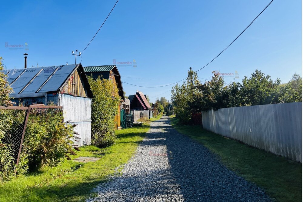 п. Кедровка, СНТ Озёрный, уч. 26 (городской округ Березовский) - фото сада (6)