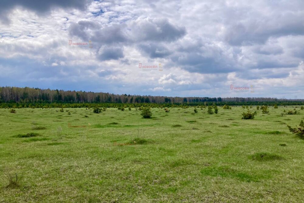 п. Хромцово (городской округ Белоярский) - фото земельного участка (4)