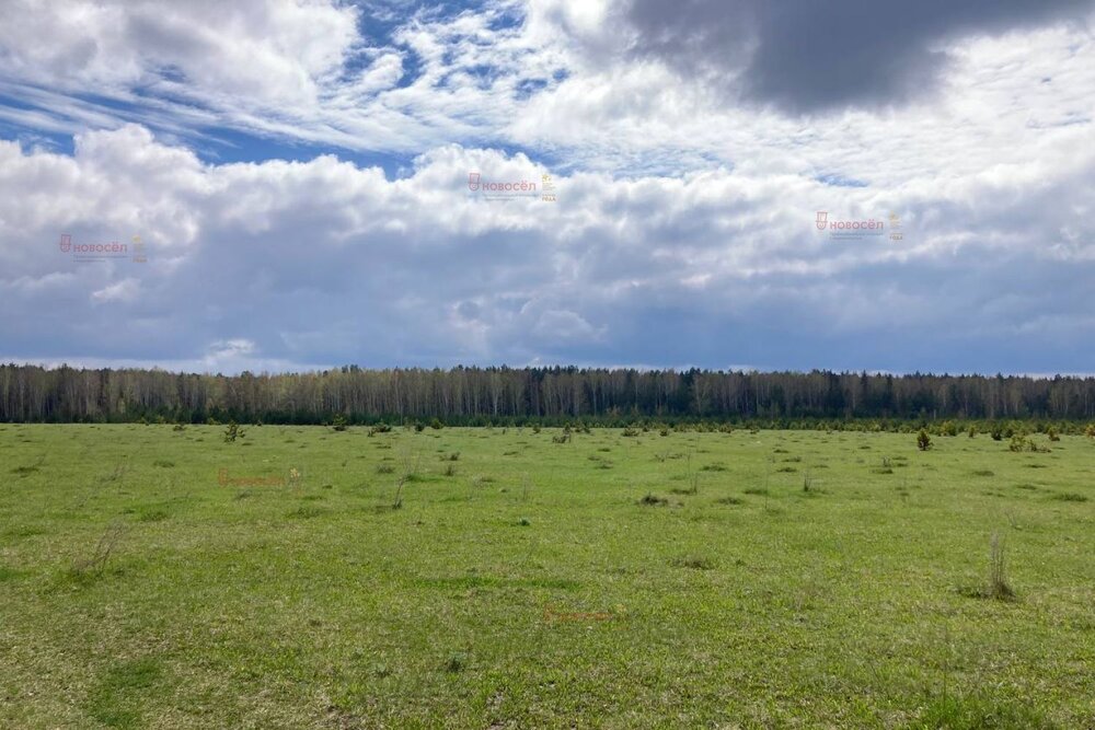 п. Хромцово (городской округ Белоярский) - фото земельного участка (5)