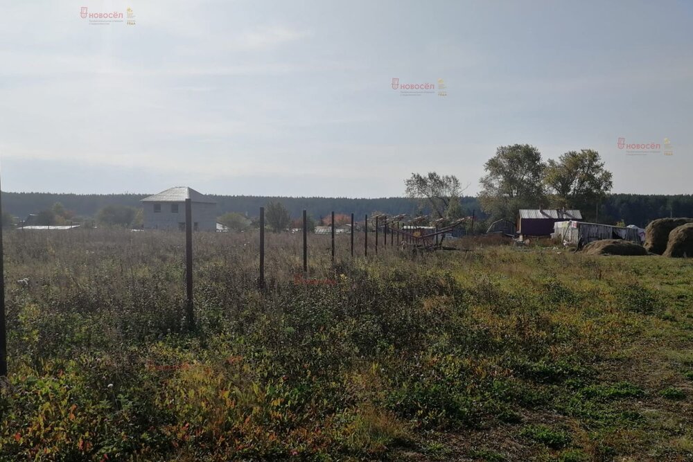 д. Ключи (г.о. Белоярский) (городской округ Белоярский) - фото земельного участка (5)