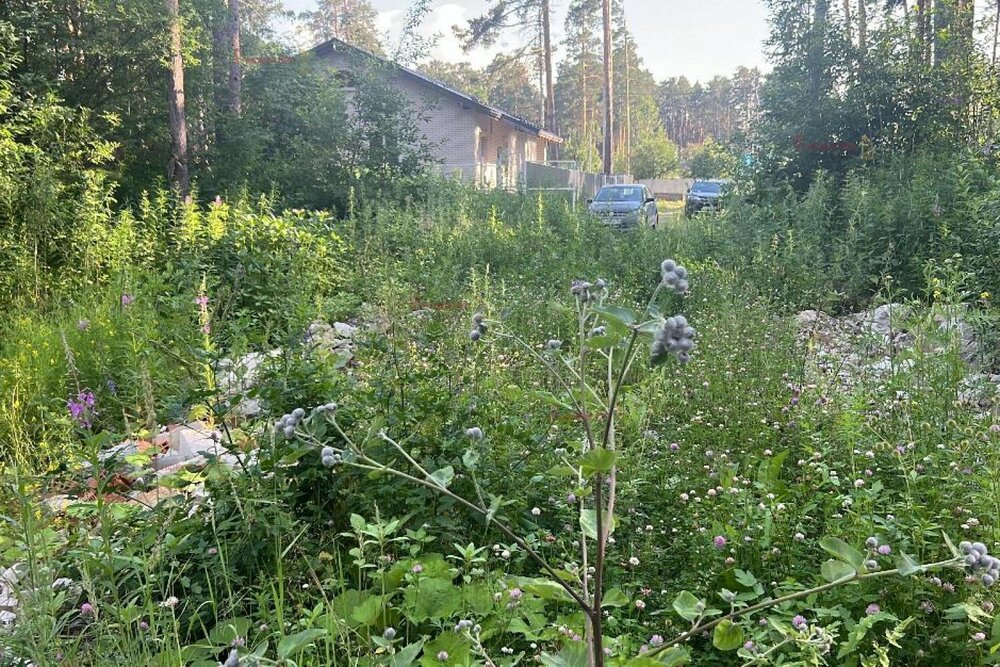 Екатеринбург, ул. Букетный, 3 (Кольцово) - фото земельного участка (4)