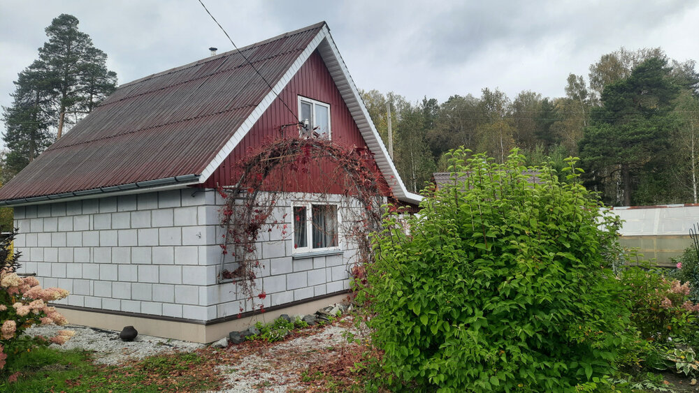 г. Среднеуральск, Снт Сталь (городской округ Среднеуральск) - фото сада (2)