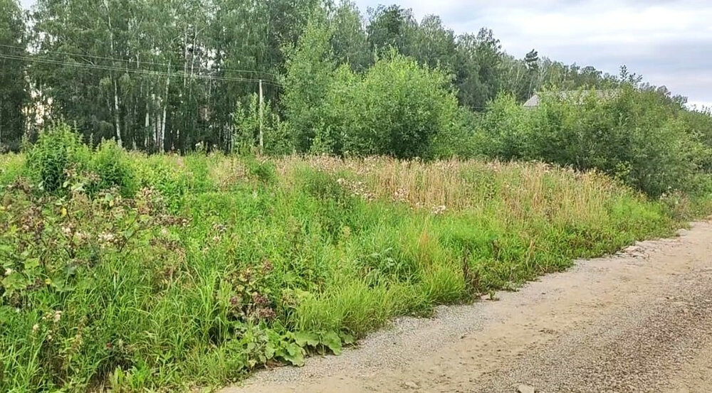 с. Курганово, ул. Ивановская (городской округ Полевской) - фото земельного участка (1)