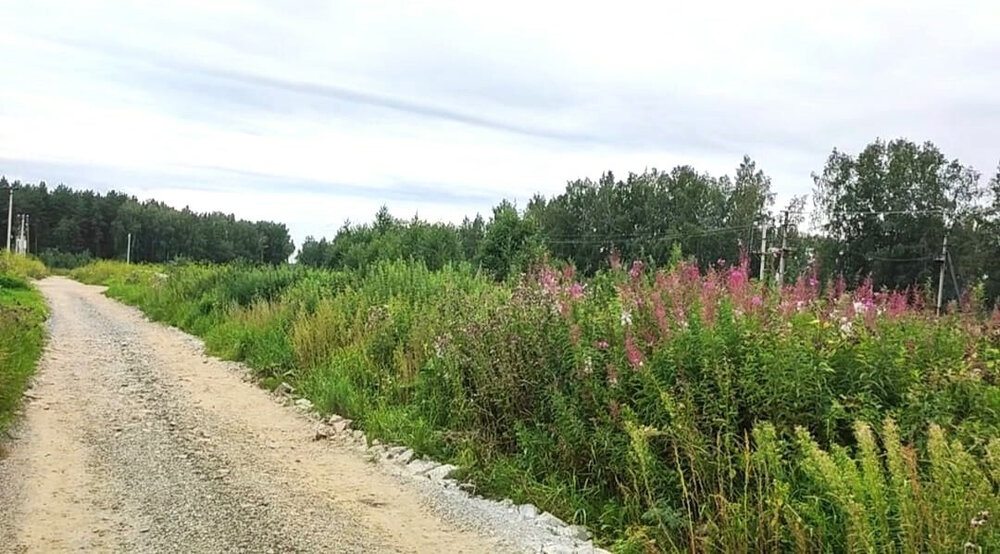 с. Курганово, ул. Ивановская (городской округ Полевской) - фото земельного участка (2)