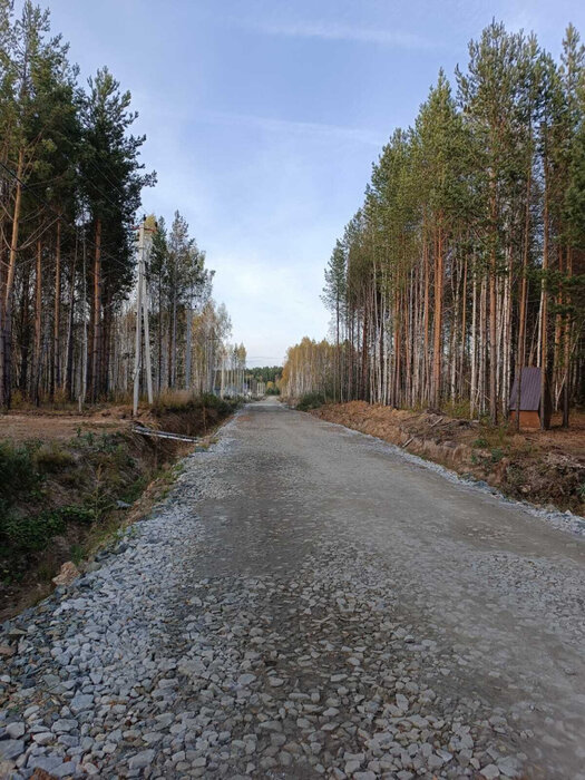 п. Залесье, ул. Новое залесье (городской округ Верхняя Пышма) - фото земельного участка (5)