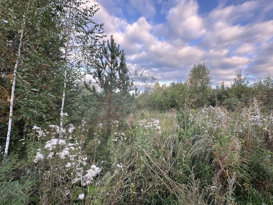 п. Ключевск, ул. Трудовая, 31б (городской округ Березовский) - фото земельного участка (5)