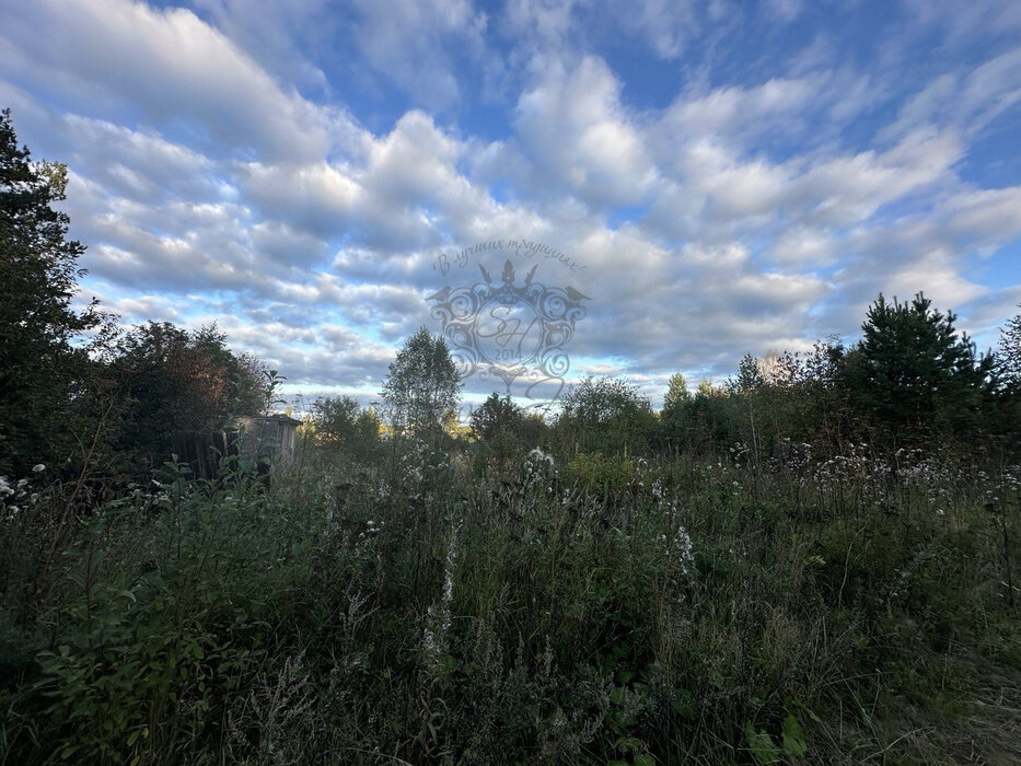 п. Ключевск, ул. Трудовая, 31б (городской округ Березовский) - фото земельного участка (8)