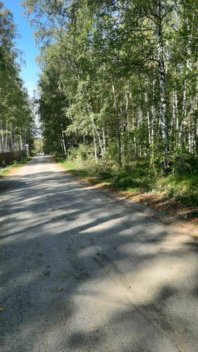 г. Верхняя Пышма, район СНТ Звездочка (городской округ Верхняя Пышма) - фото сада (2)