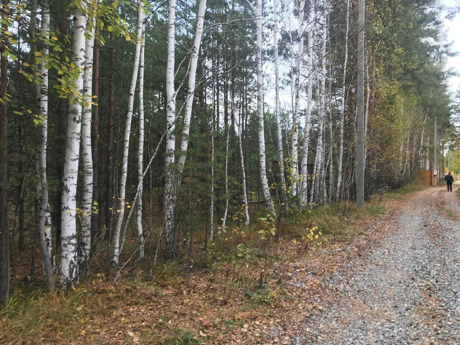 с. Кашино, к/с  СТ Строитель  (городской округ Сысертский) - фото сада (1)