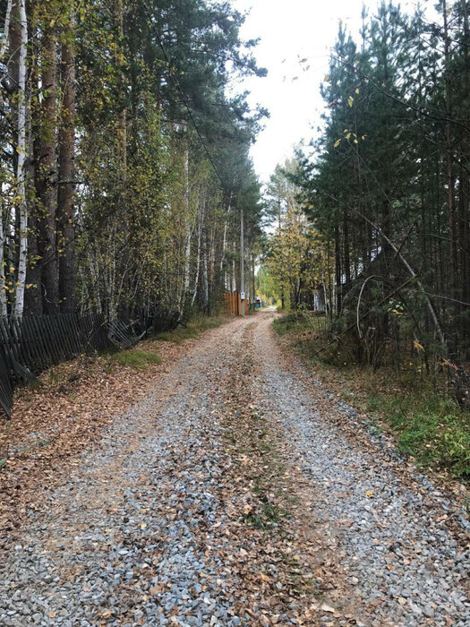 с. Кашино, к/с  СТ Строитель  (городской округ Сысертский) - фото сада (5)