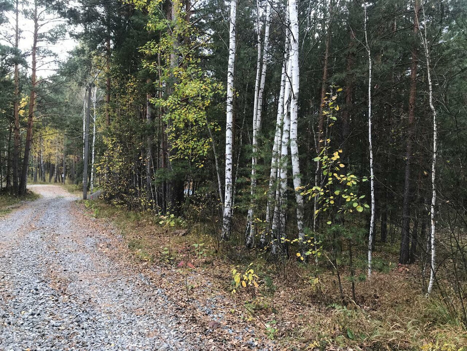 с. Кашино, к/с  СТ Строитель  (городской округ Сысертский) - фото сада (6)