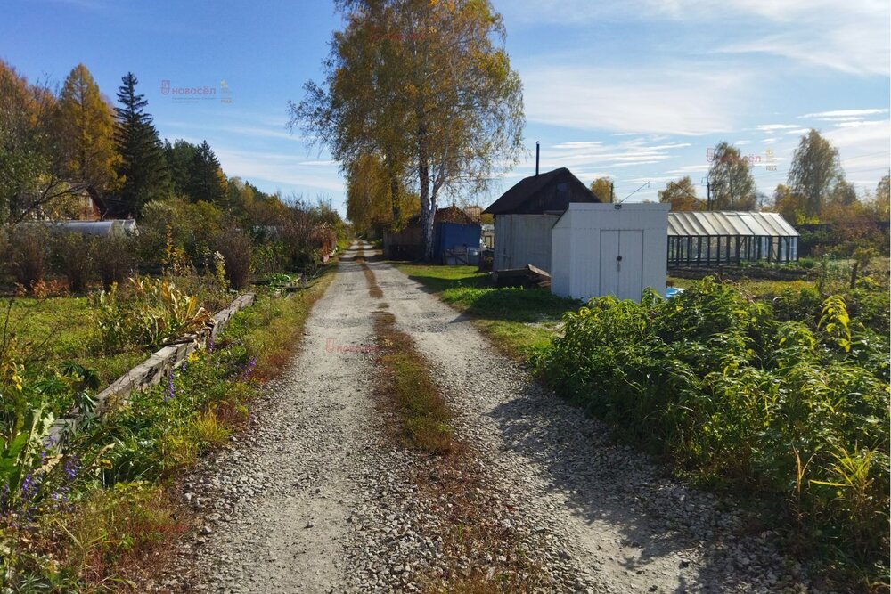 с. Логиново, к/с Путеец (городской округ Белоярский) - фото сада (3)